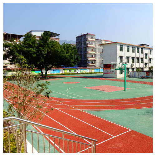 山东雷公坑小学复合型塑胶跑道